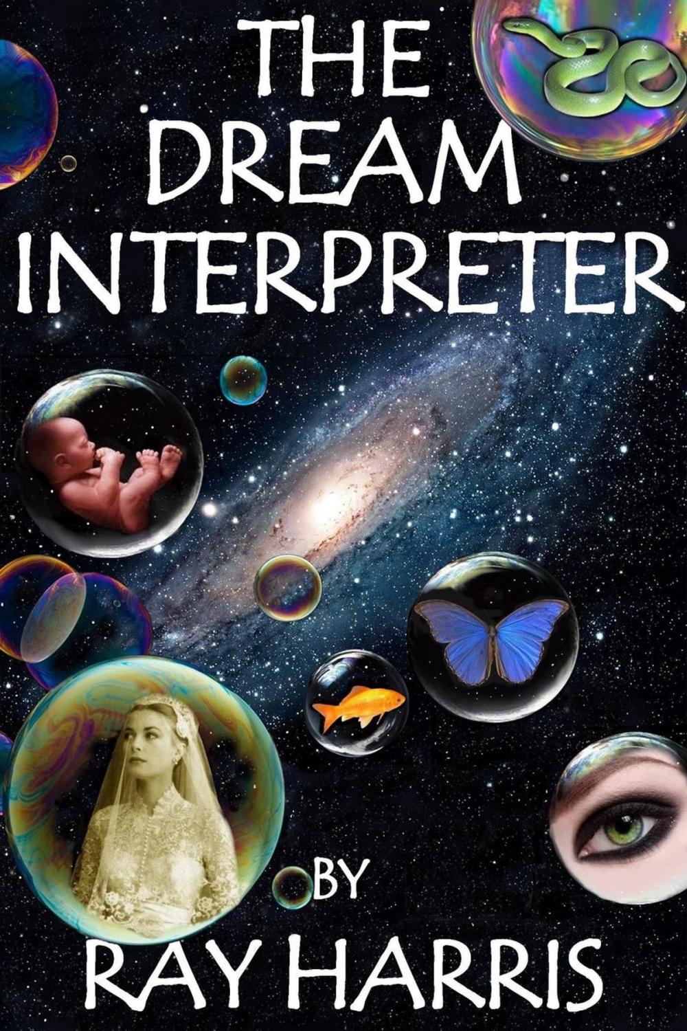 Big bigCover of The Dream Interpreter