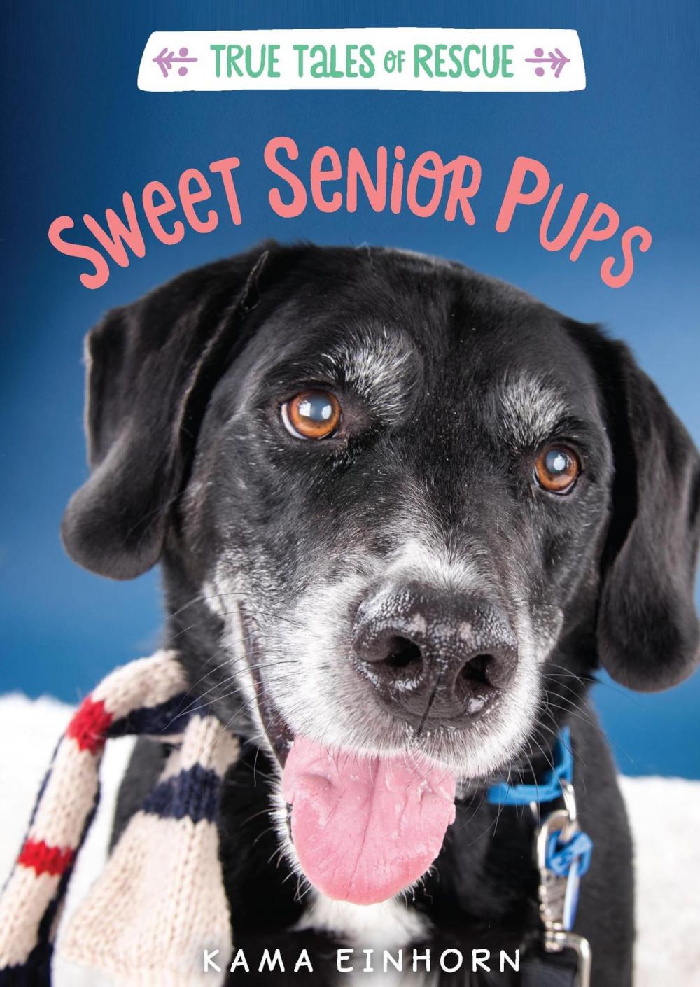 Big bigCover of Sweet Senior Pups