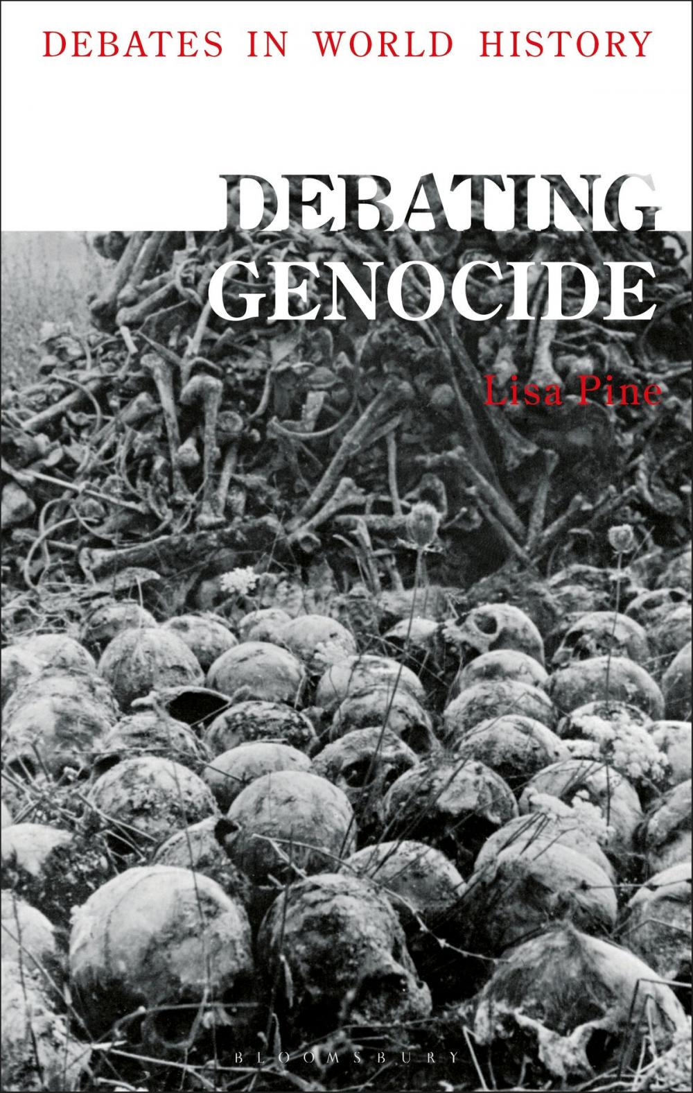 Big bigCover of Debating Genocide