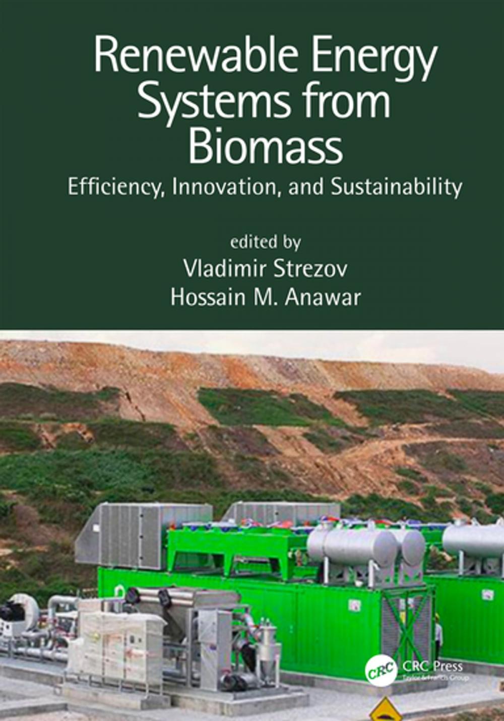 Big bigCover of Renewable Energy Systems from Biomass