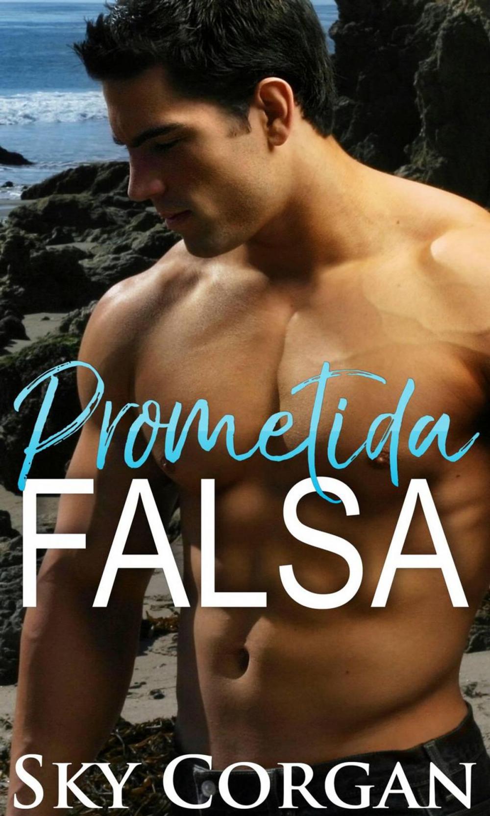 Big bigCover of Prometida falsa