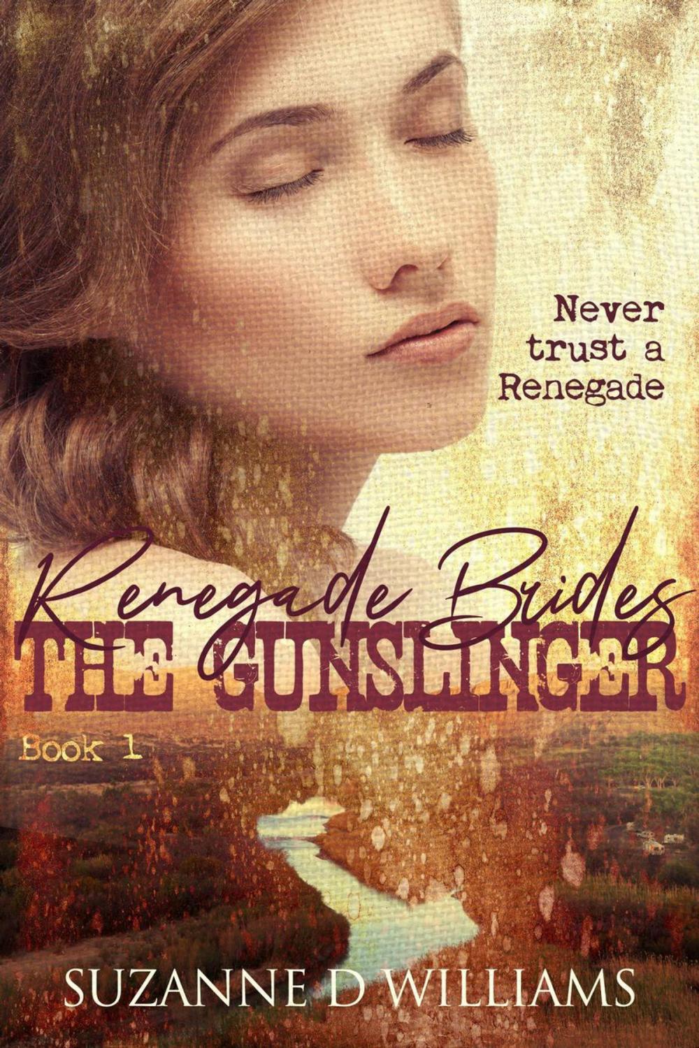 Big bigCover of The Gunslinger