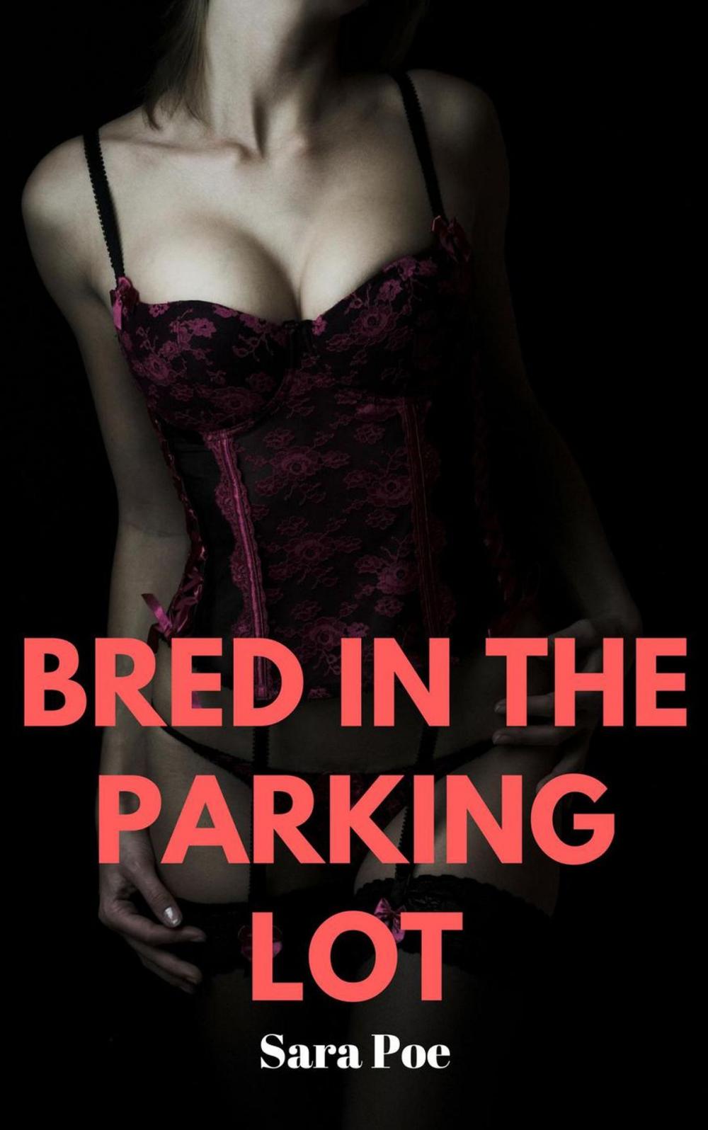 Big bigCover of Bred in the Parking Lot