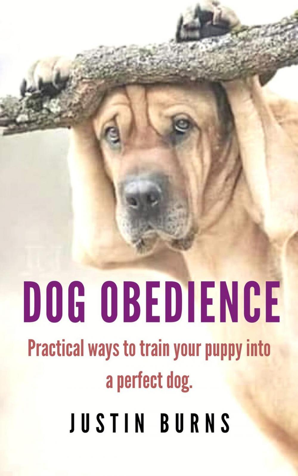 Big bigCover of Dog Obedience: Practical Ways to Train Your Puppy Into a Perfect Dog