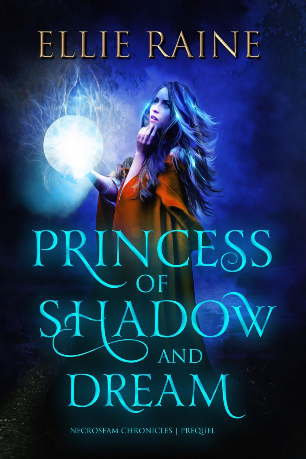 Big bigCover of Princess of Shadow and Dream