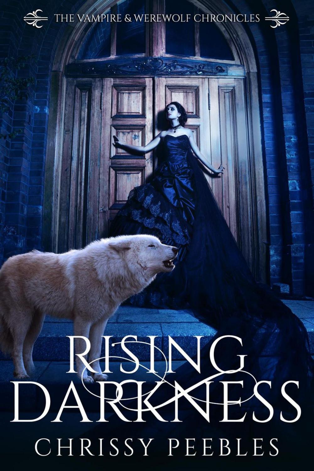 Big bigCover of Rising Darkness