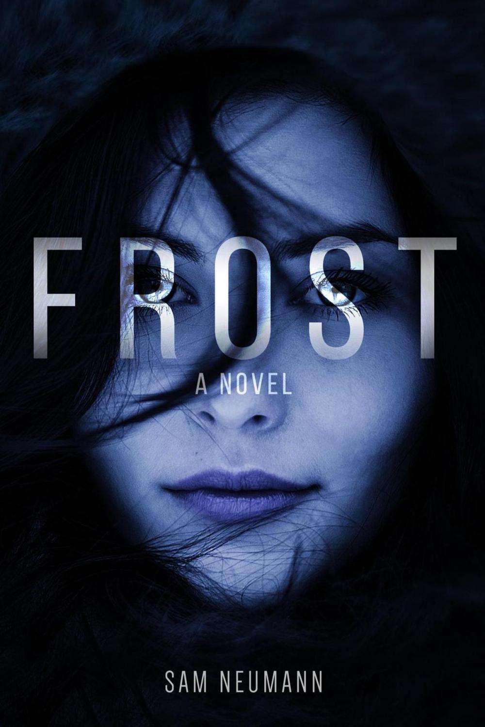 Big bigCover of Frost: A Novel