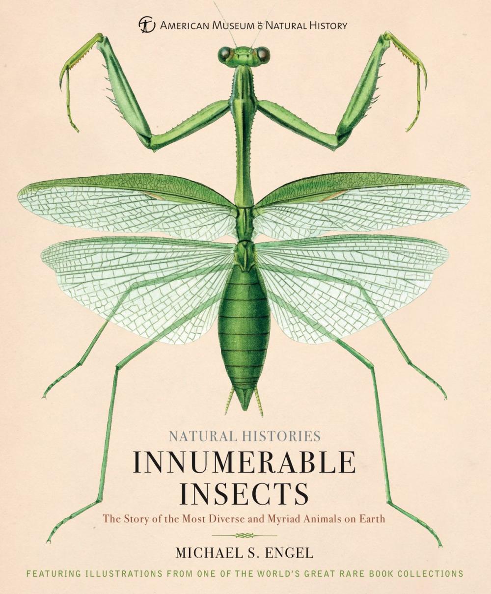 Big bigCover of Innumerable Insects