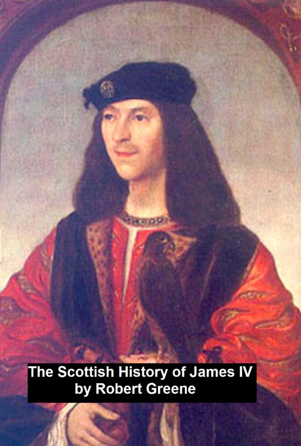 Big bigCover of The Scottish History of James IV,