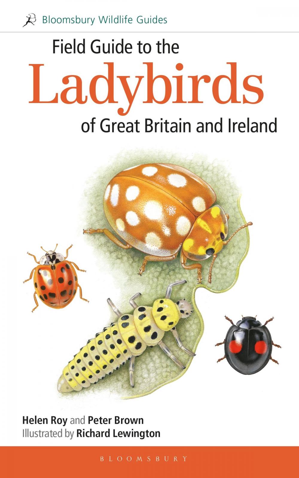 Big bigCover of Field Guide to the Ladybirds of Great Britain and Ireland