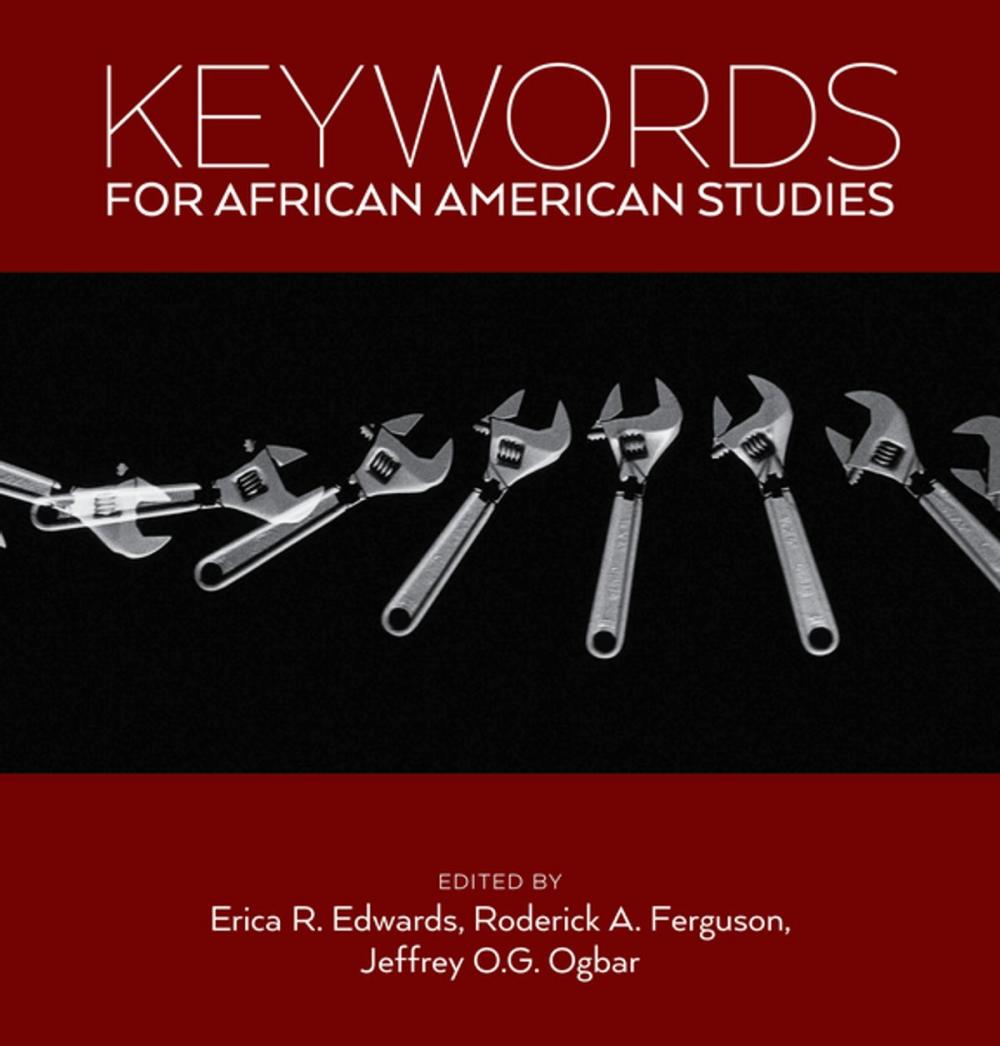 Big bigCover of Keywords for African American Studies