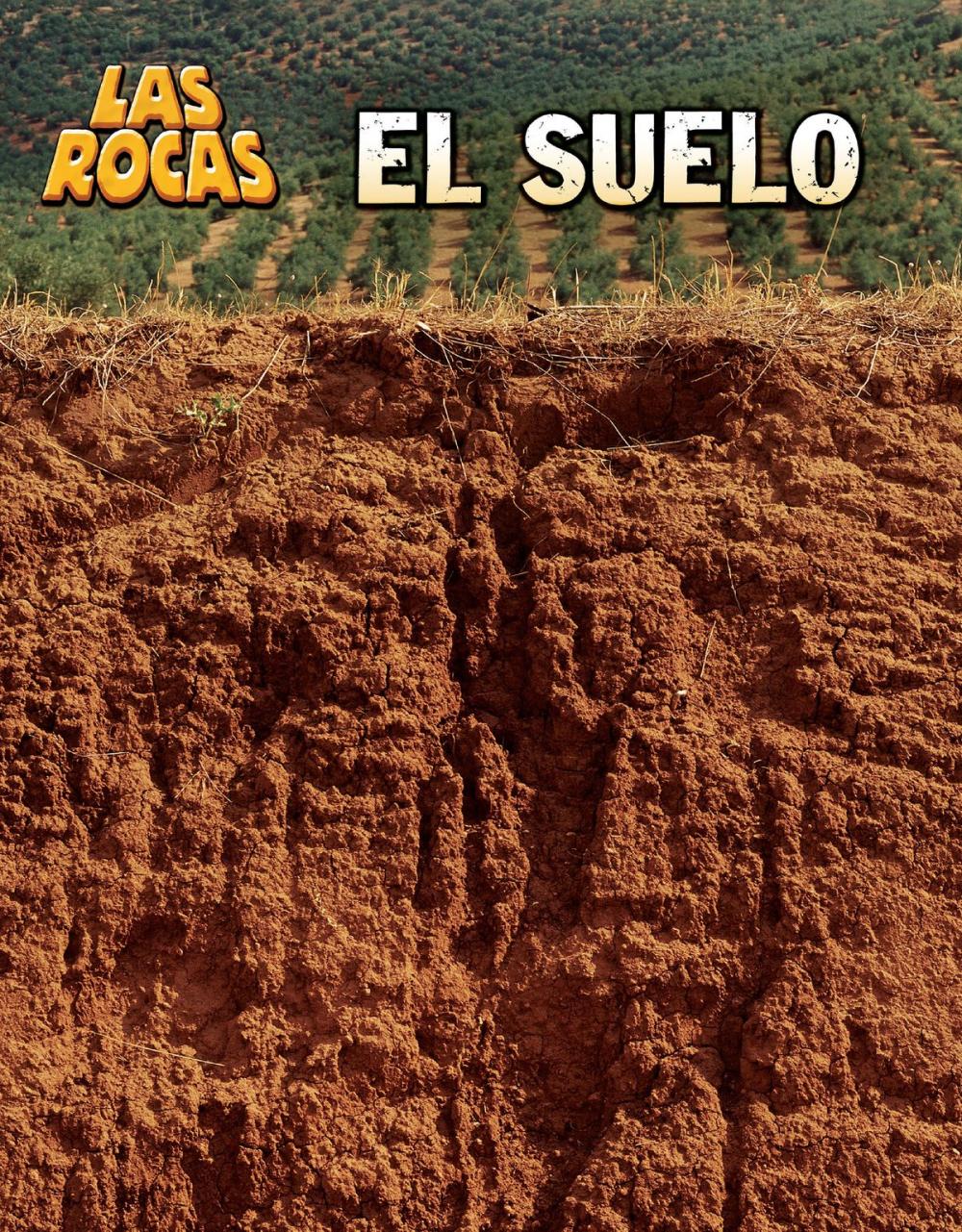 Big bigCover of El suelo