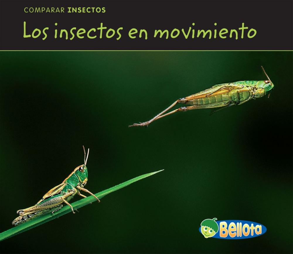 Big bigCover of Los insectos en movimiento