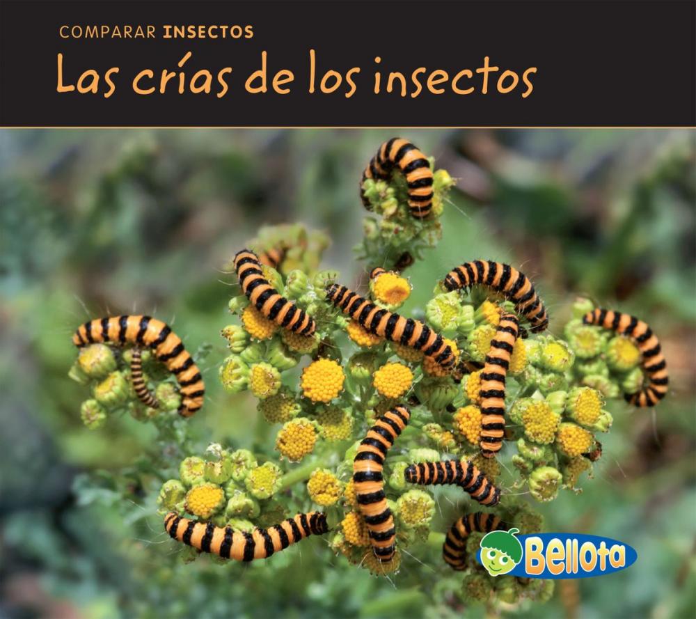 Big bigCover of Las crías de los insectos