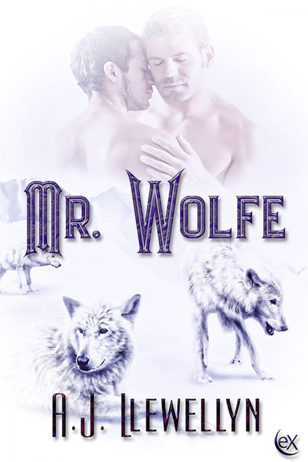 Big bigCover of Mr. Wolfe
