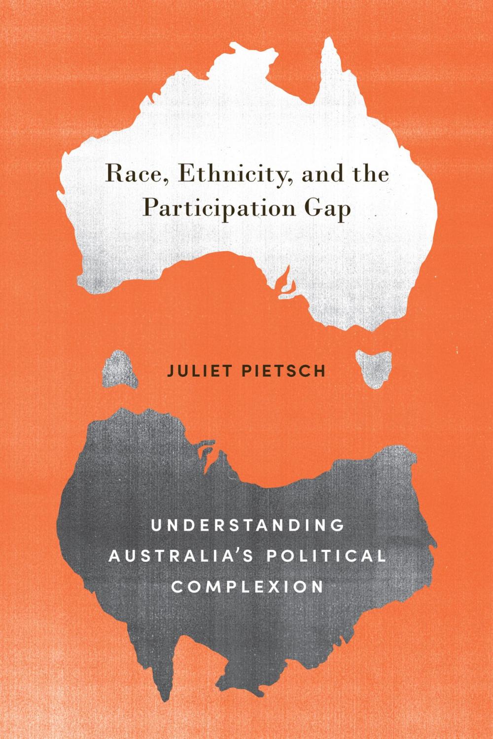 Big bigCover of Race, Ethnicity, and the Participation Gap