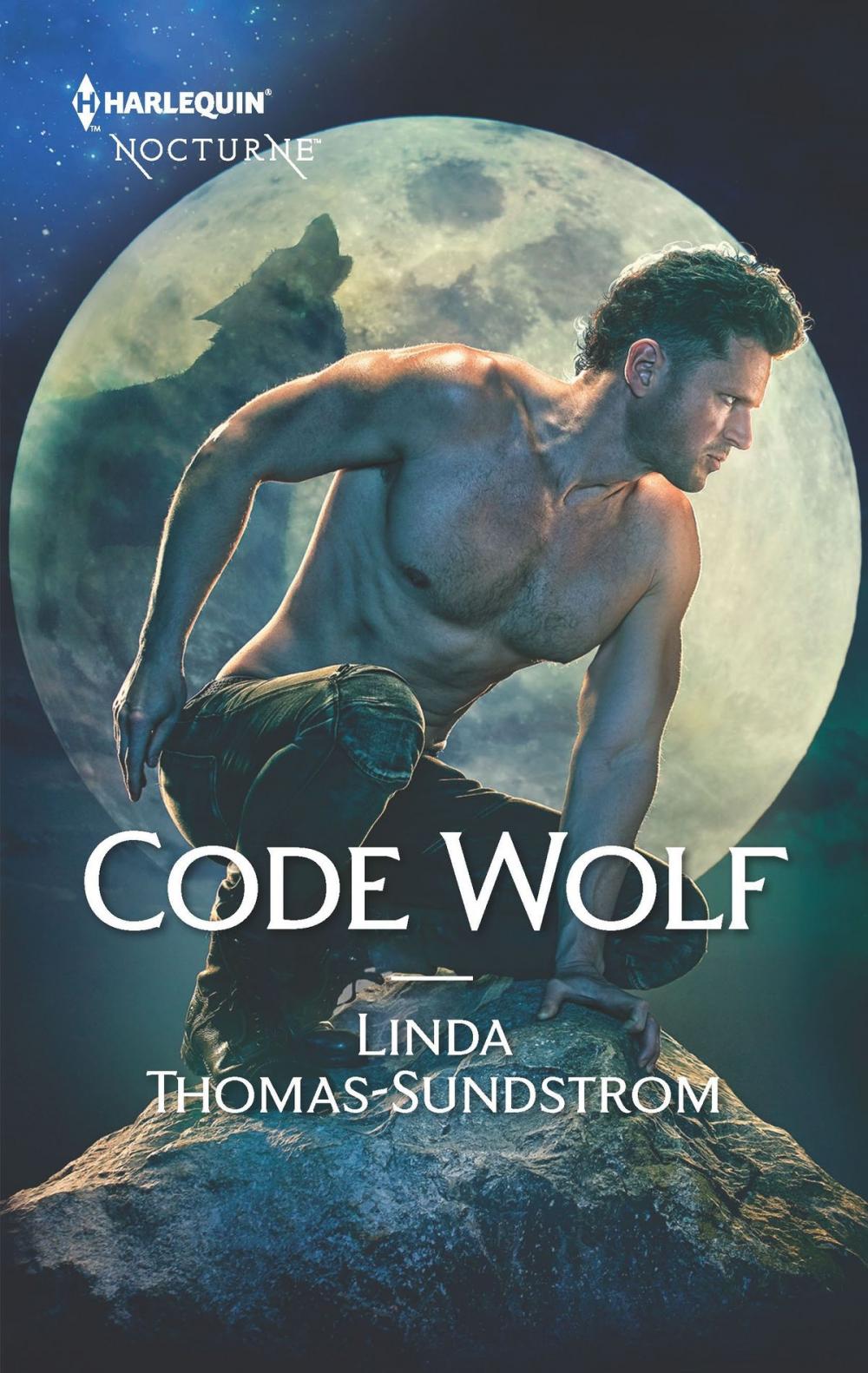 Big bigCover of Code Wolf