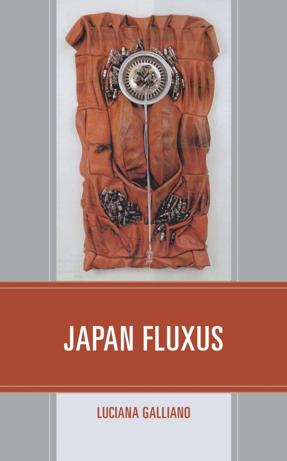 Big bigCover of Japan Fluxus