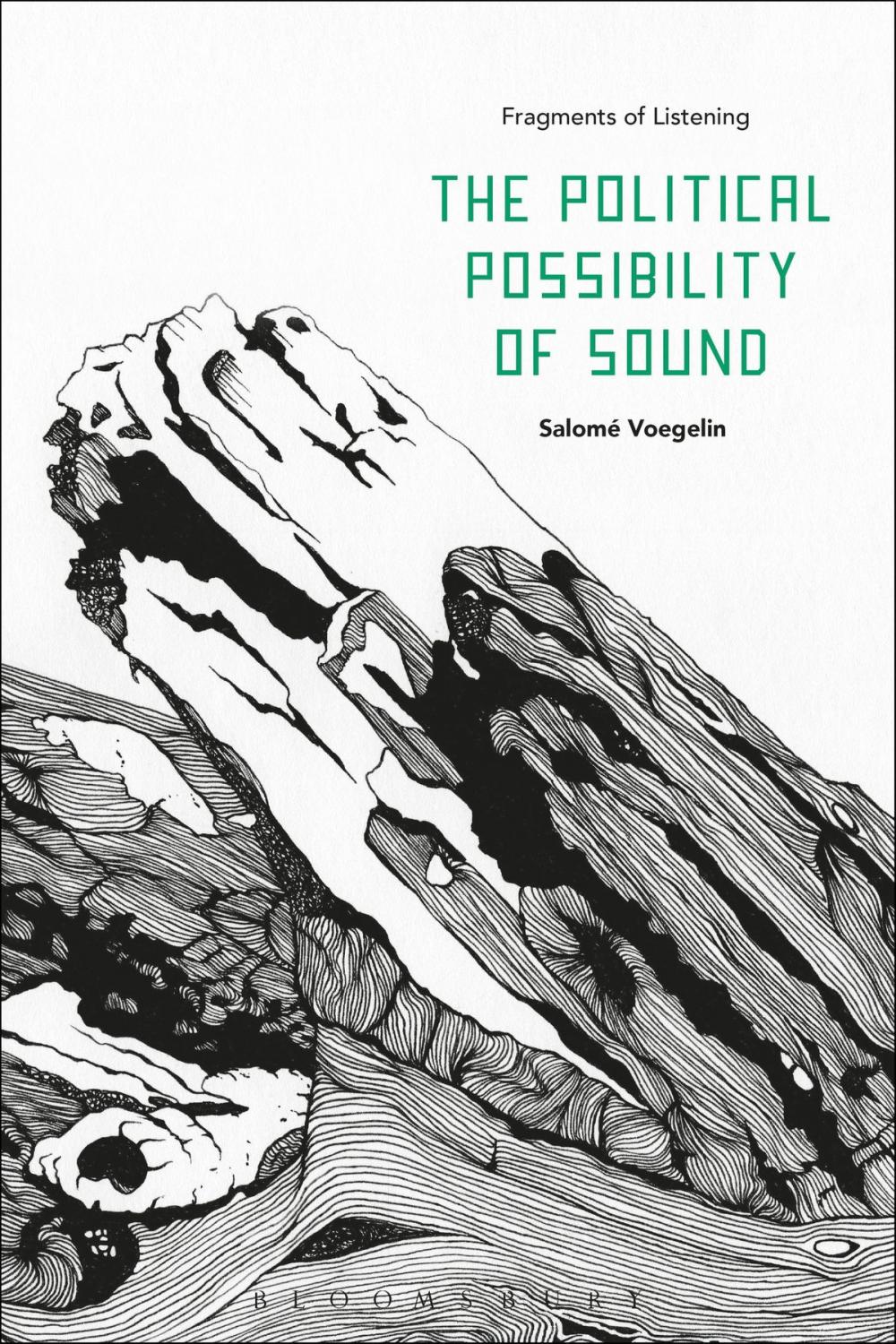 Big bigCover of The Political Possibility of Sound