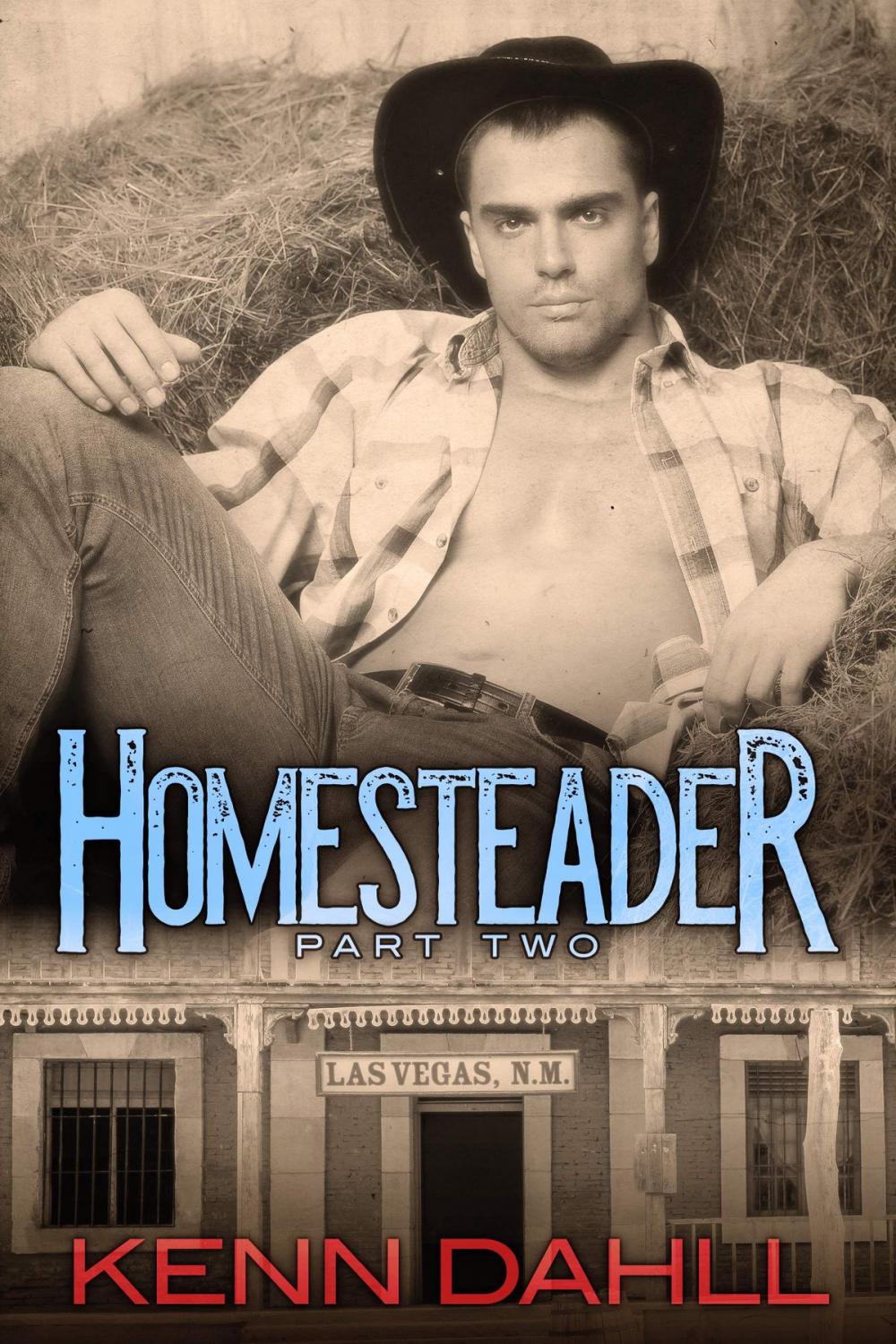 Big bigCover of Homesteader-Part Two