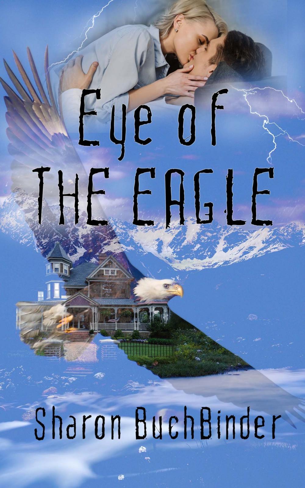 Big bigCover of Eye of the Eagle