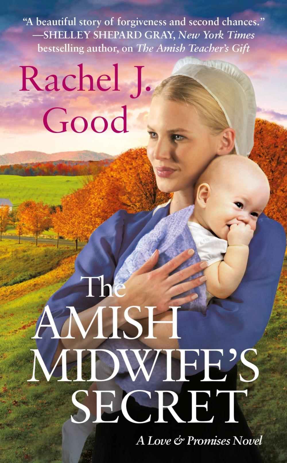 Big bigCover of The Amish Midwife's Secret