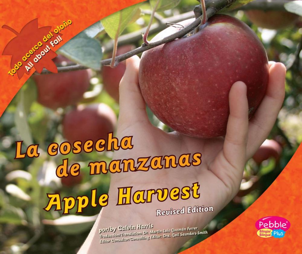 Big bigCover of cosecha de manzanas/Apple Harvest