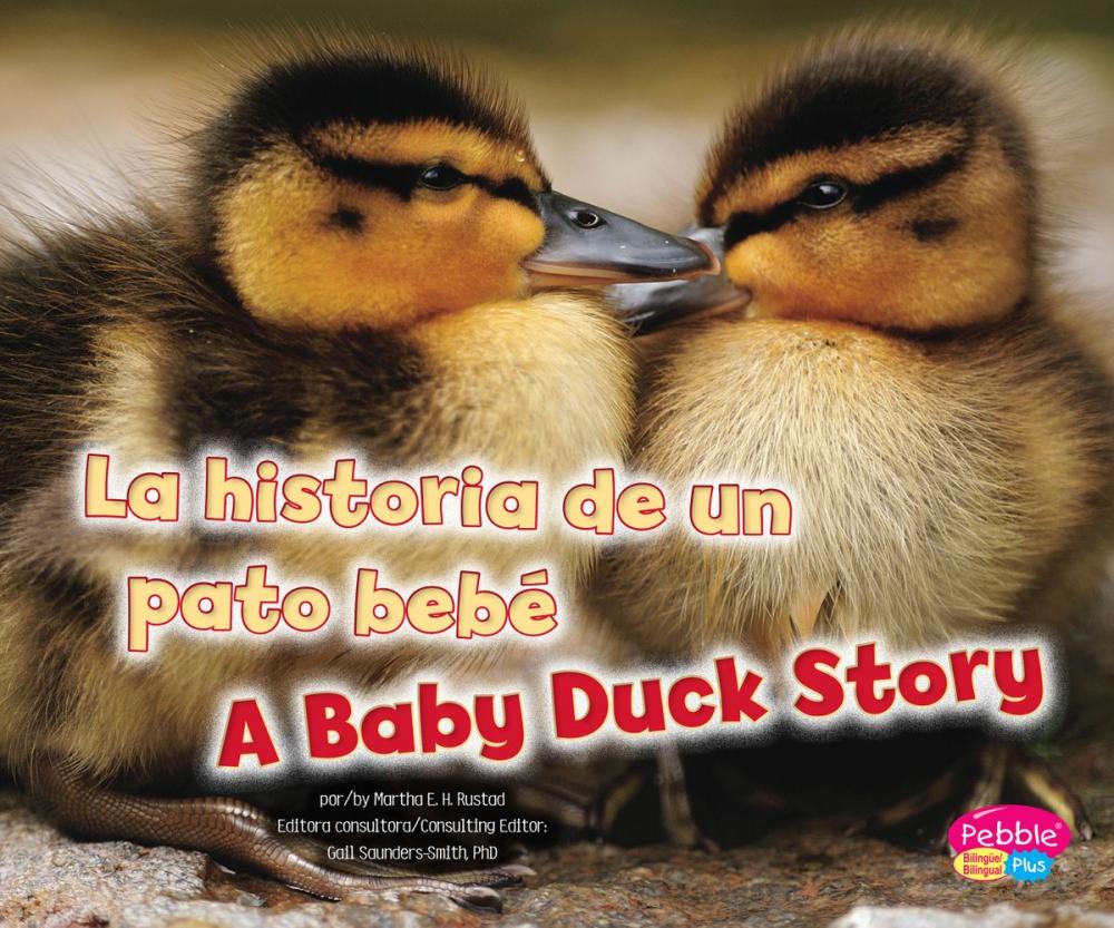 Big bigCover of La historia de un pato bebé/A Baby Duck Story