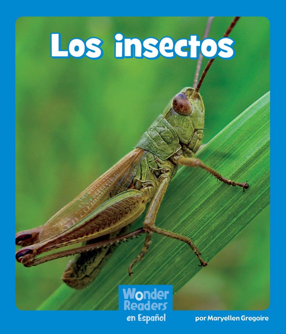 Big bigCover of Los insectos