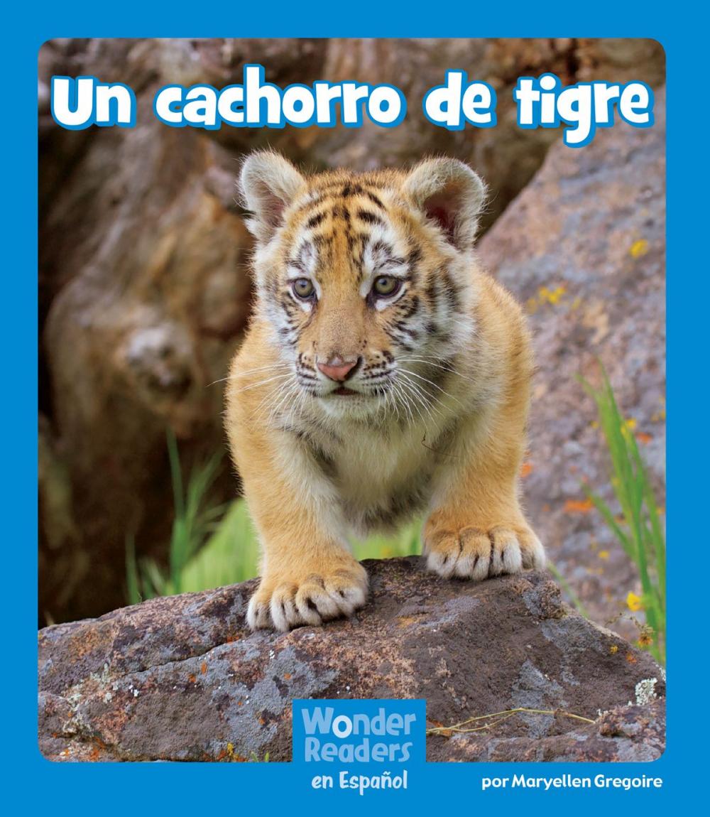 Big bigCover of Un cachorro de tigre