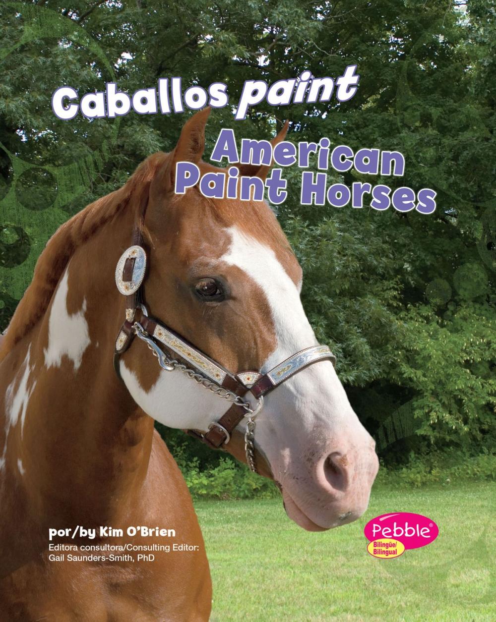 Big bigCover of Caballos paint/American Paint Horses