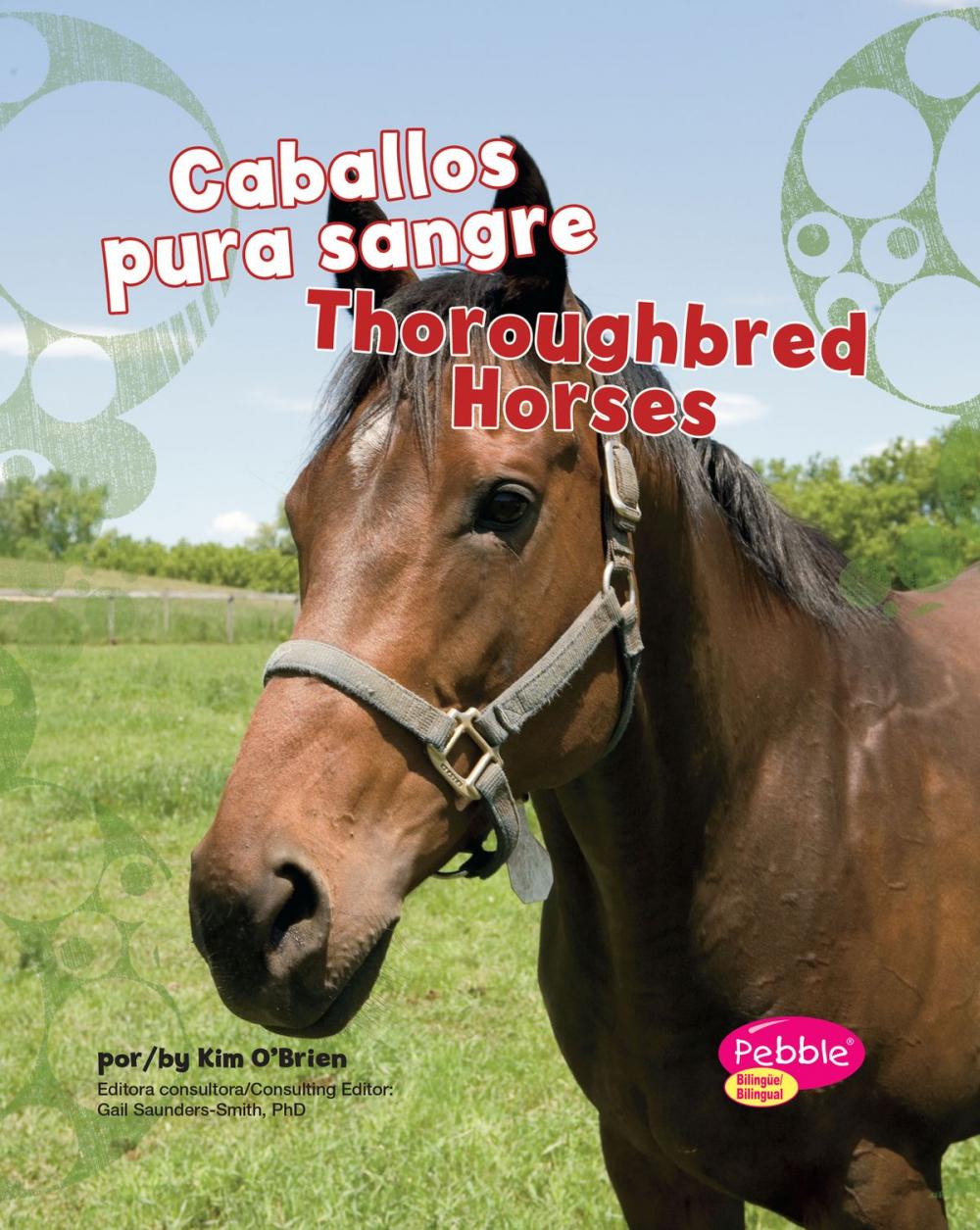 Big bigCover of Caballos pura sangre/Thoroughbred Horses