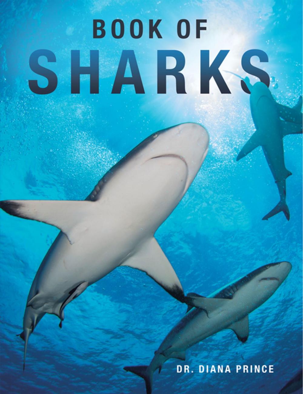 Big bigCover of Book of Sharks