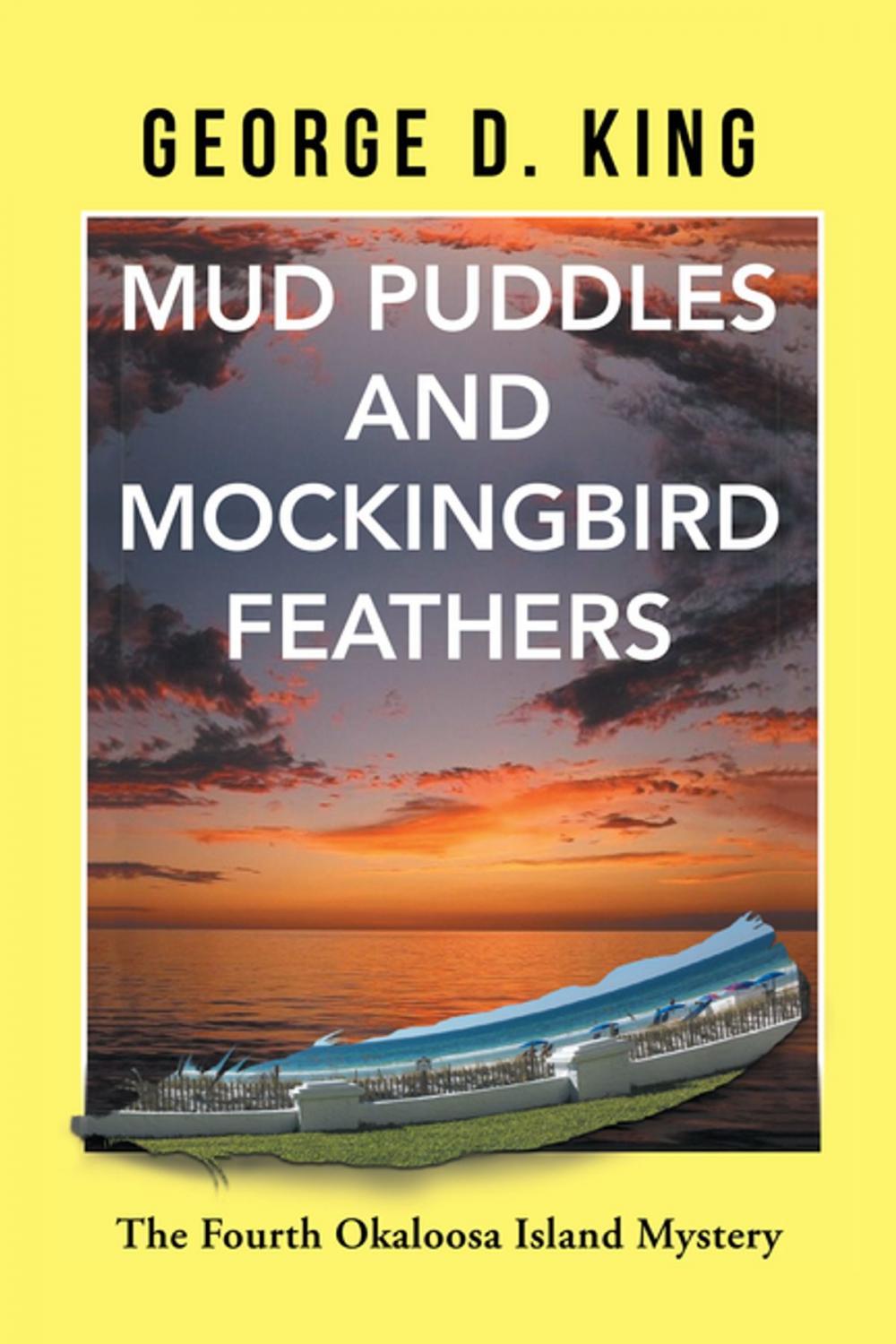 Big bigCover of Mud Puddles and Mockingbird Feathers