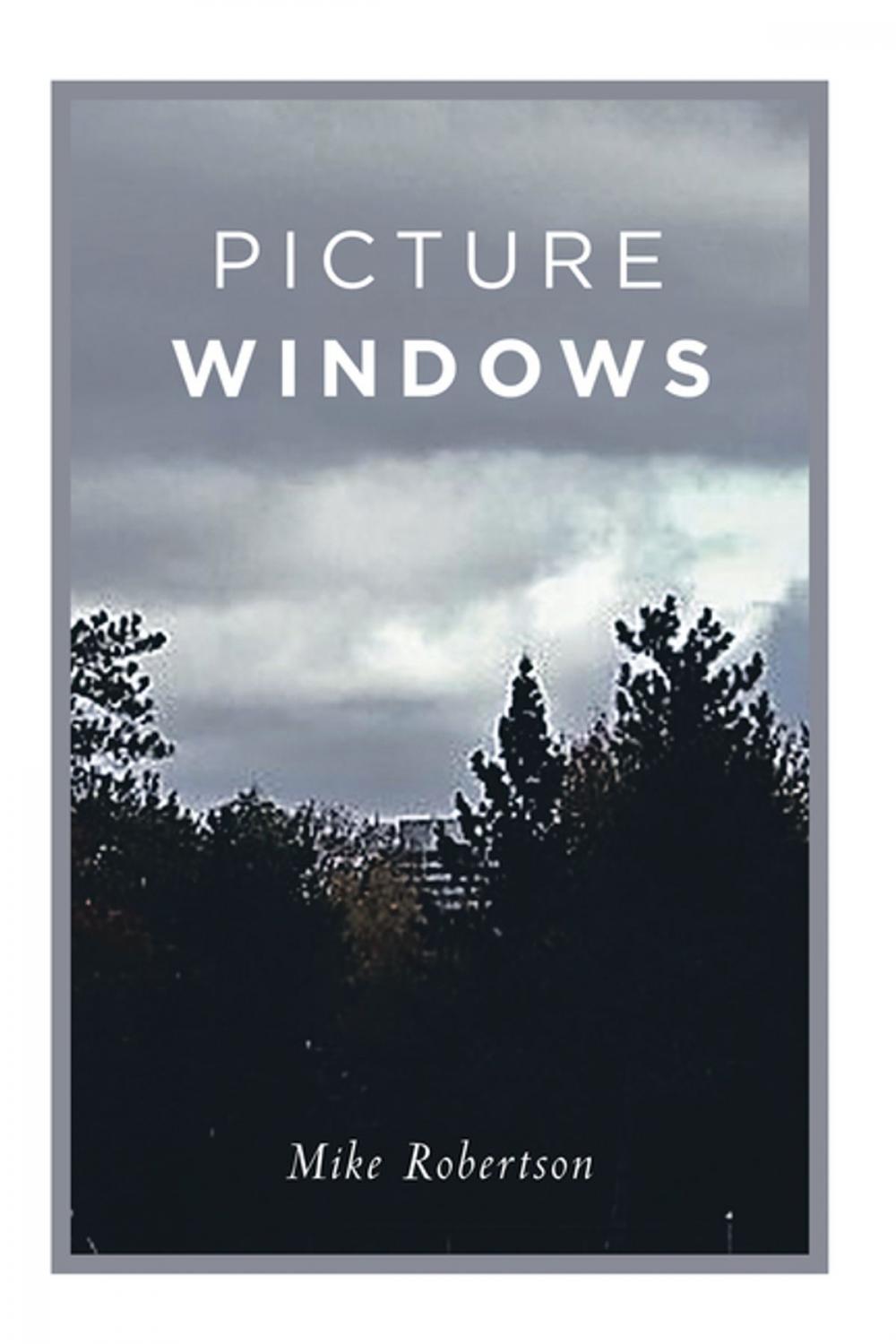 Big bigCover of Picture Windows