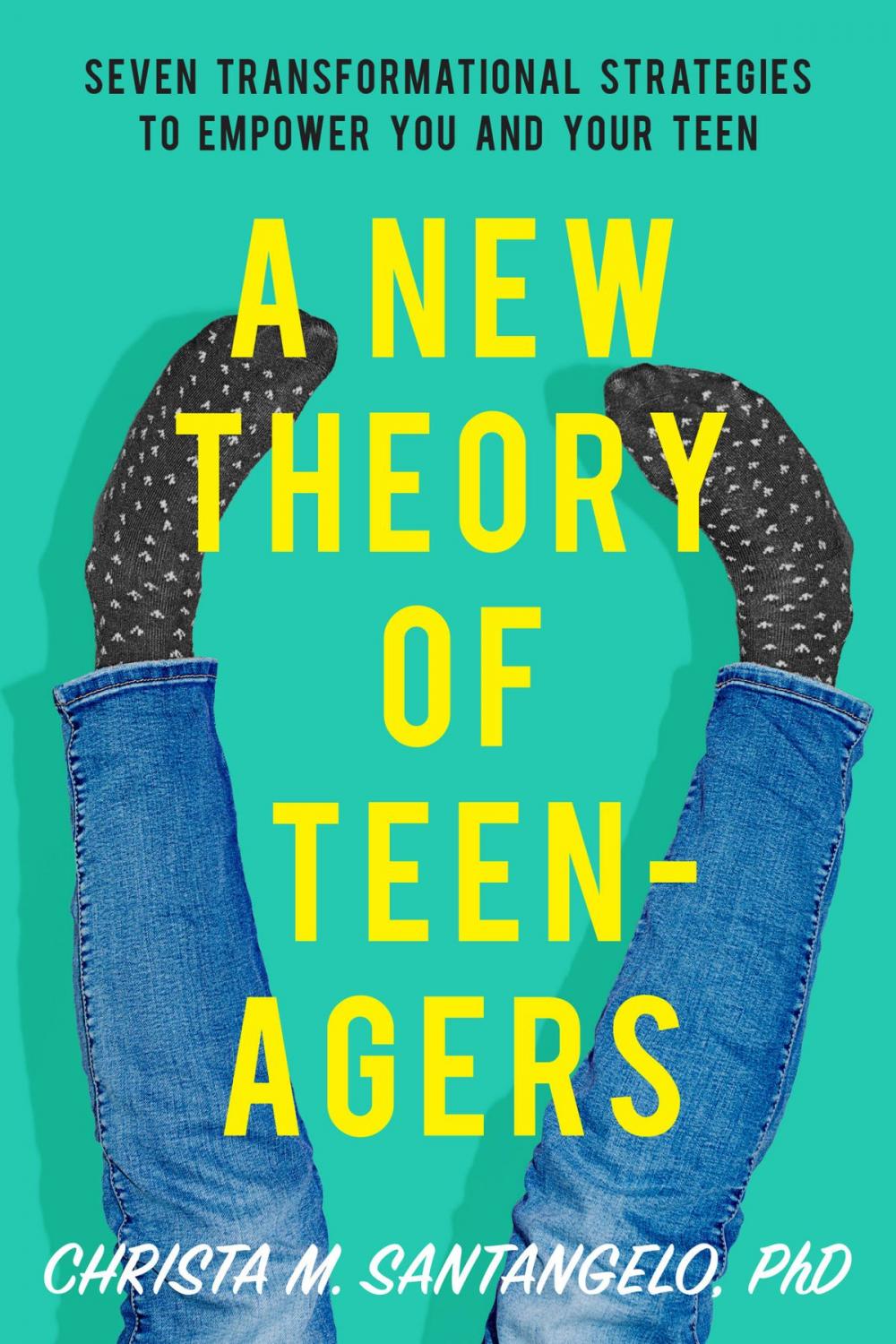 Big bigCover of A New Theory of Teenagers