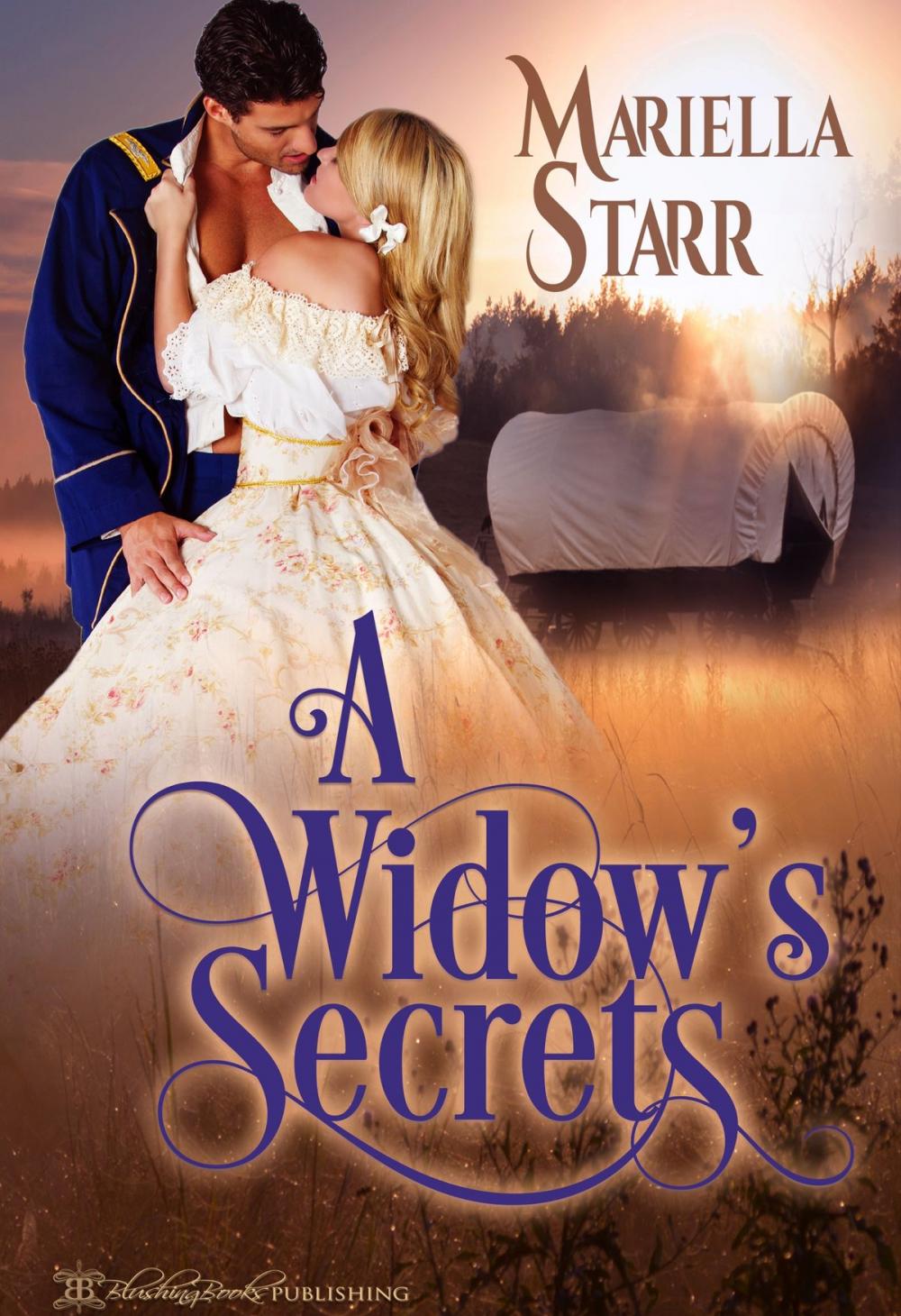 Big bigCover of A Widow's Secrets