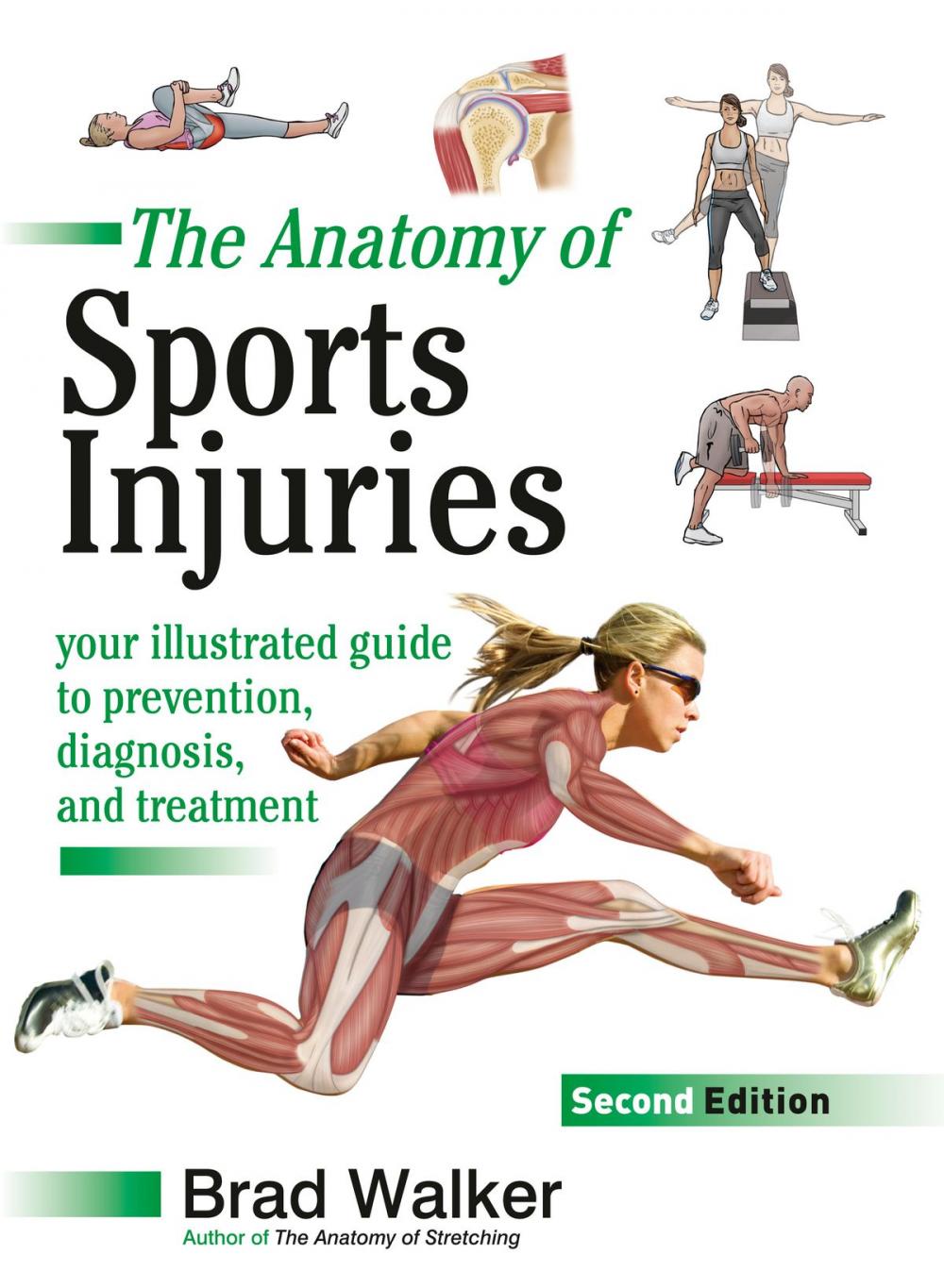 Big bigCover of The Anatomy of Sports Injuries, Second Edition