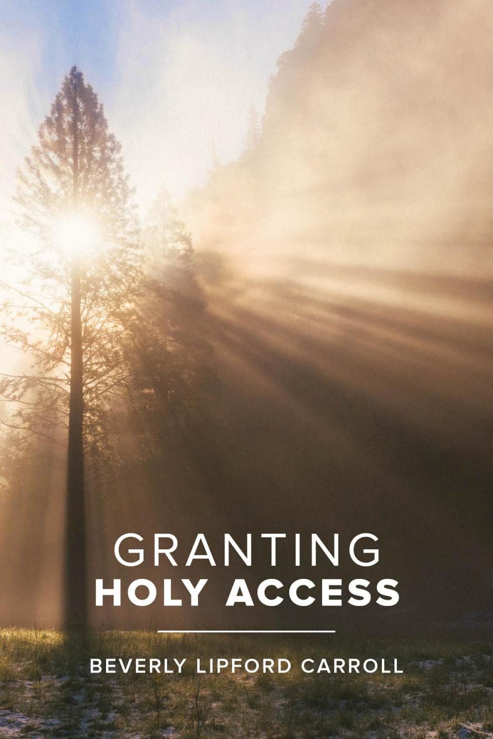 Big bigCover of Granting Holy Access