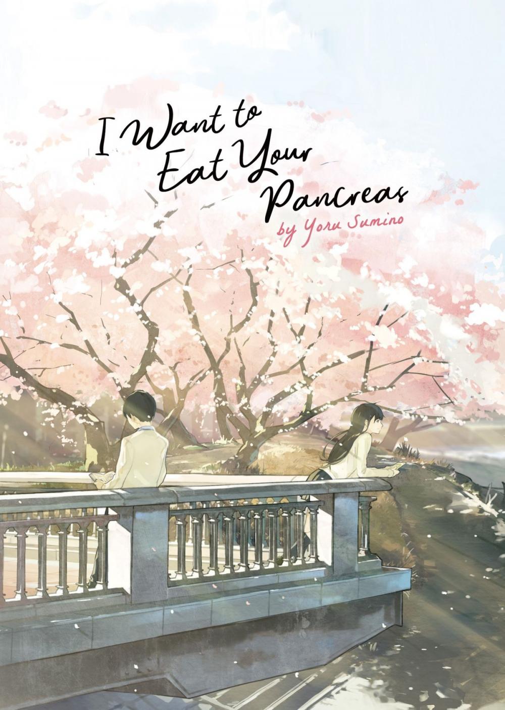 Big bigCover of I Want to Eat Your Pancreas (Light Novel)