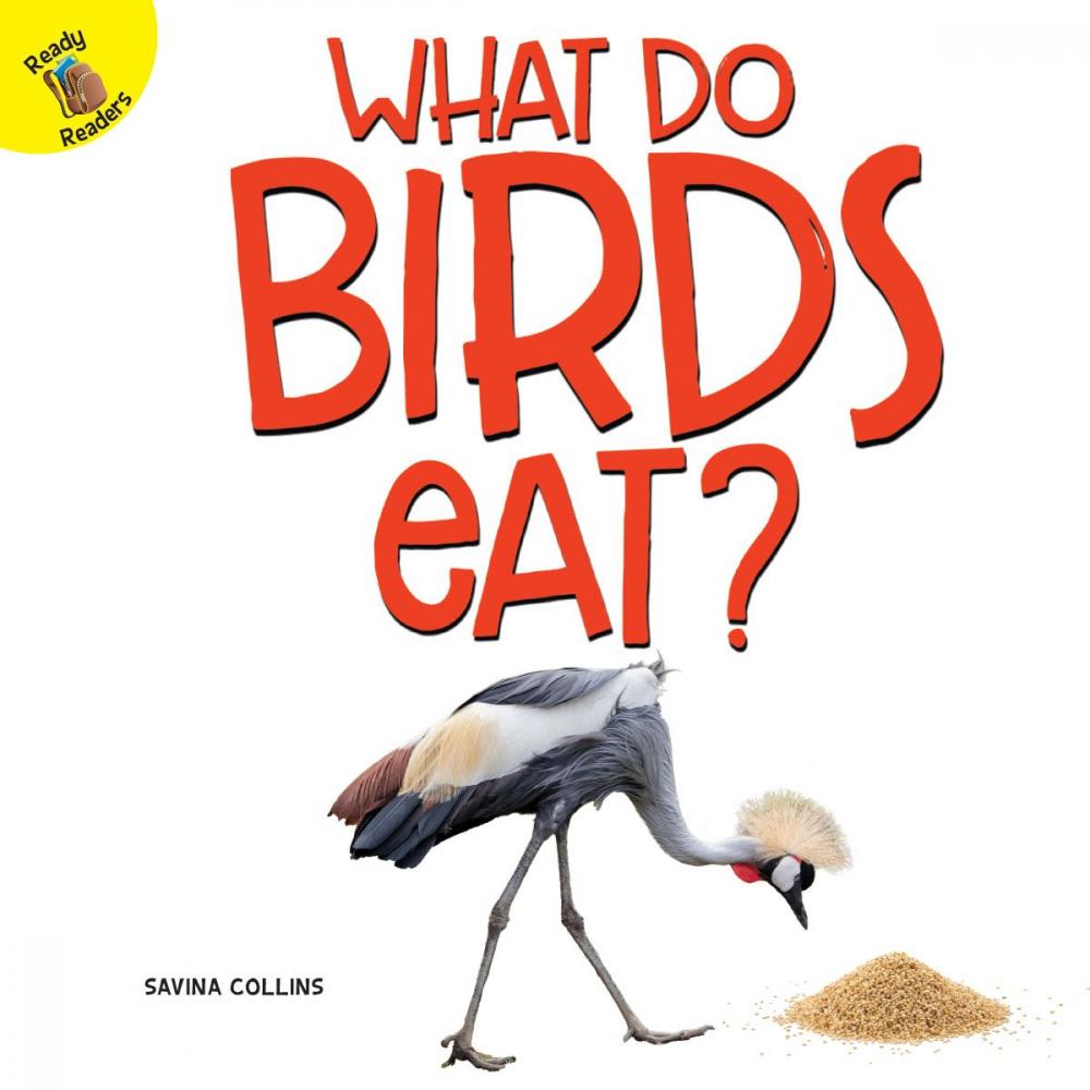 Big bigCover of What Do Birds Eat?