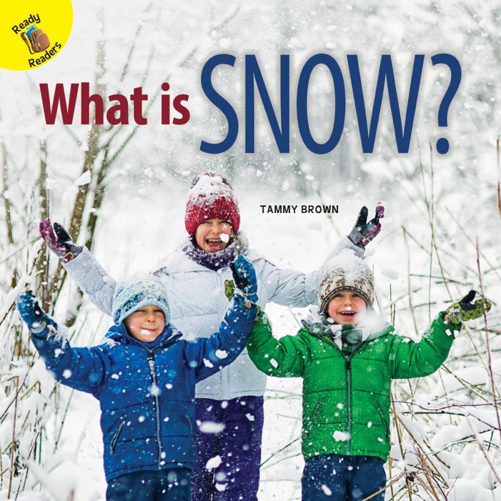 Big bigCover of What is Snow?