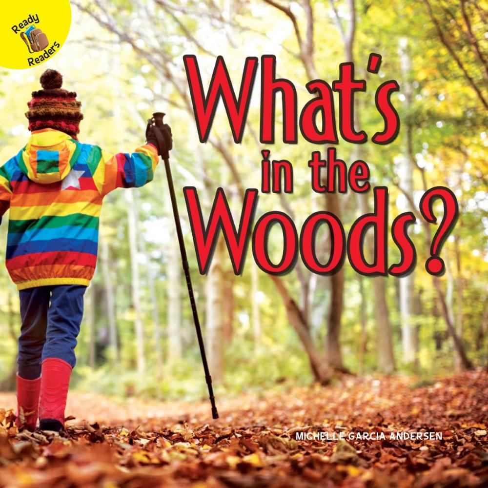 Big bigCover of What's in the Woods?