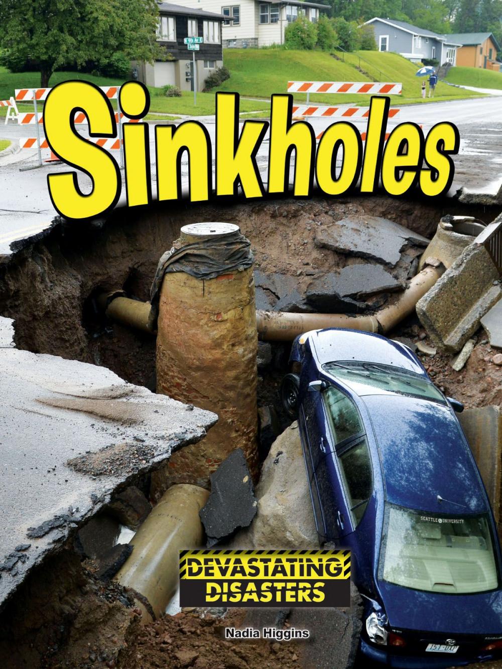 Big bigCover of Sinkholes