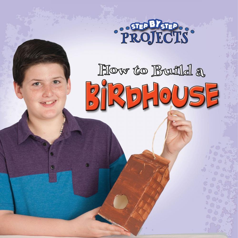 Big bigCover of How to Build a Bird House