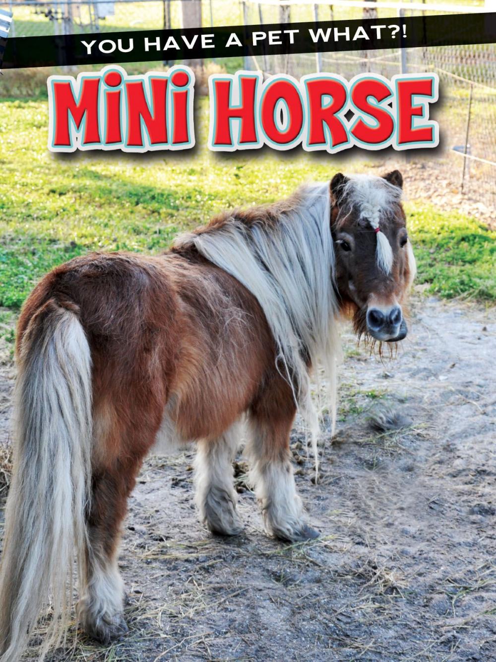 Big bigCover of Mini Horse