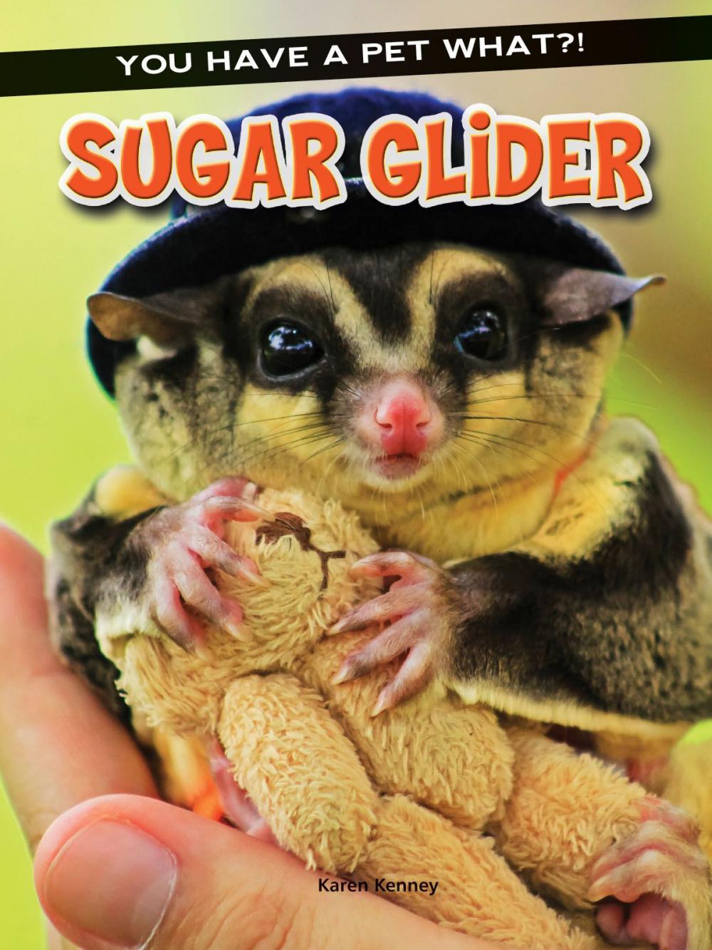 Big bigCover of Sugar Glider