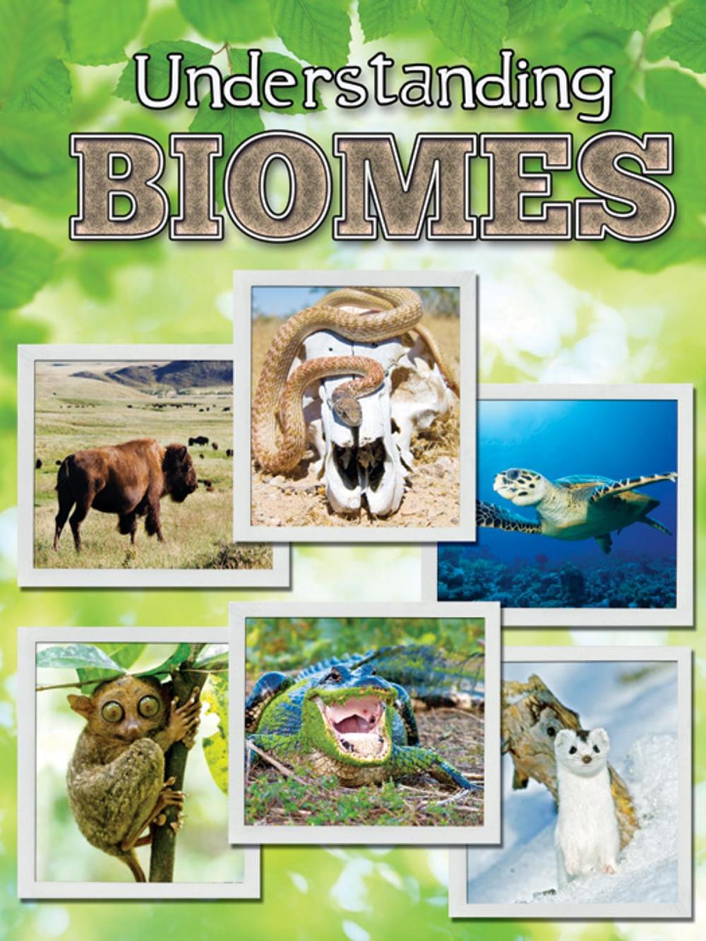 Big bigCover of Understanding Biomes