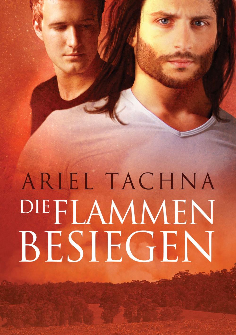 Big bigCover of Die Flammen besiegen