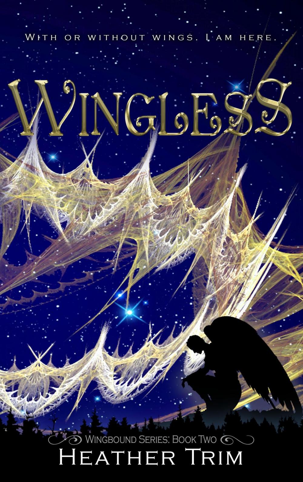 Big bigCover of Wingless